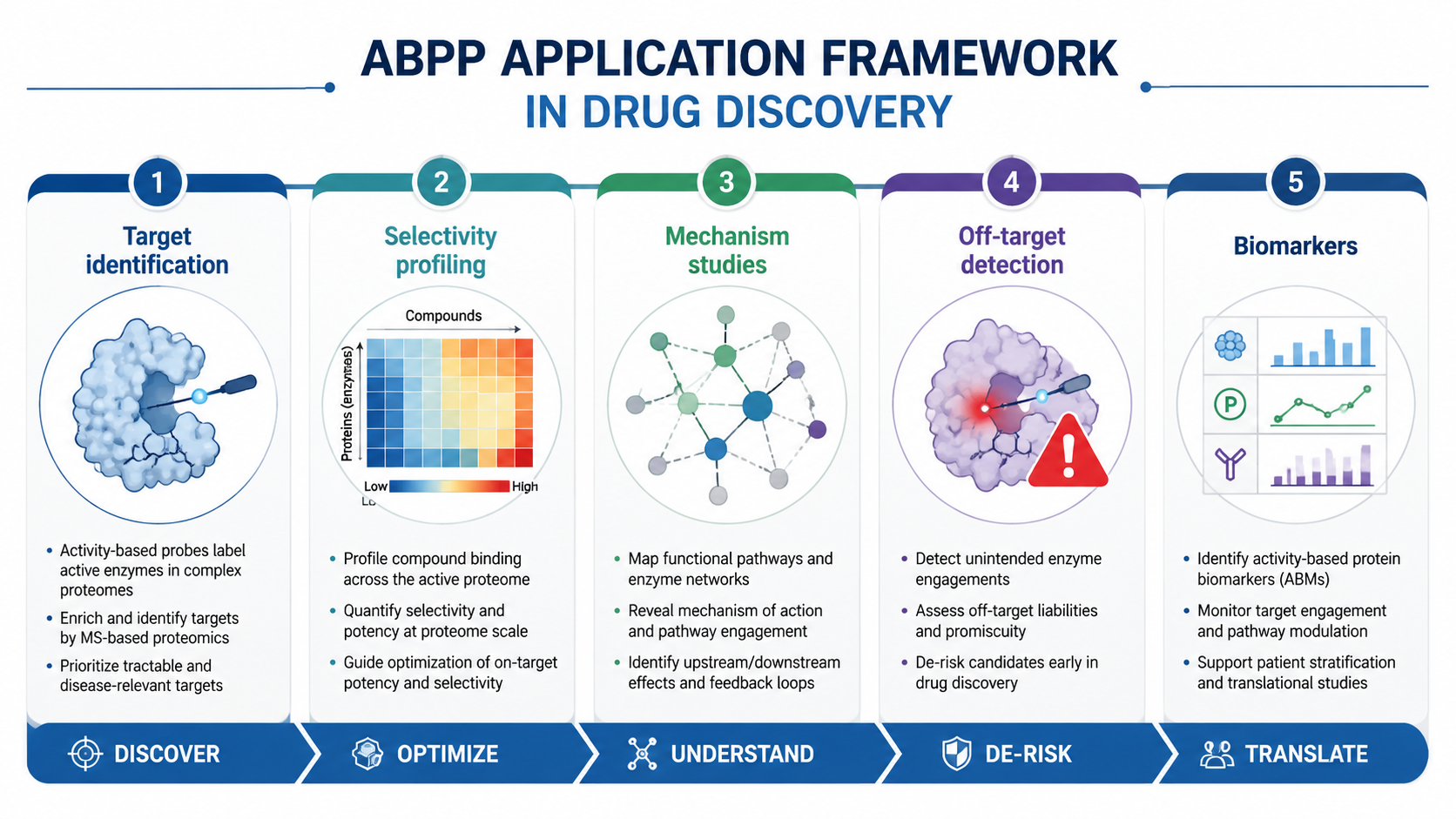 Drug discovery applications of ABPP including target identification, selectivity profiling, mechanism studies, off-target detection, and biomarker discovery.