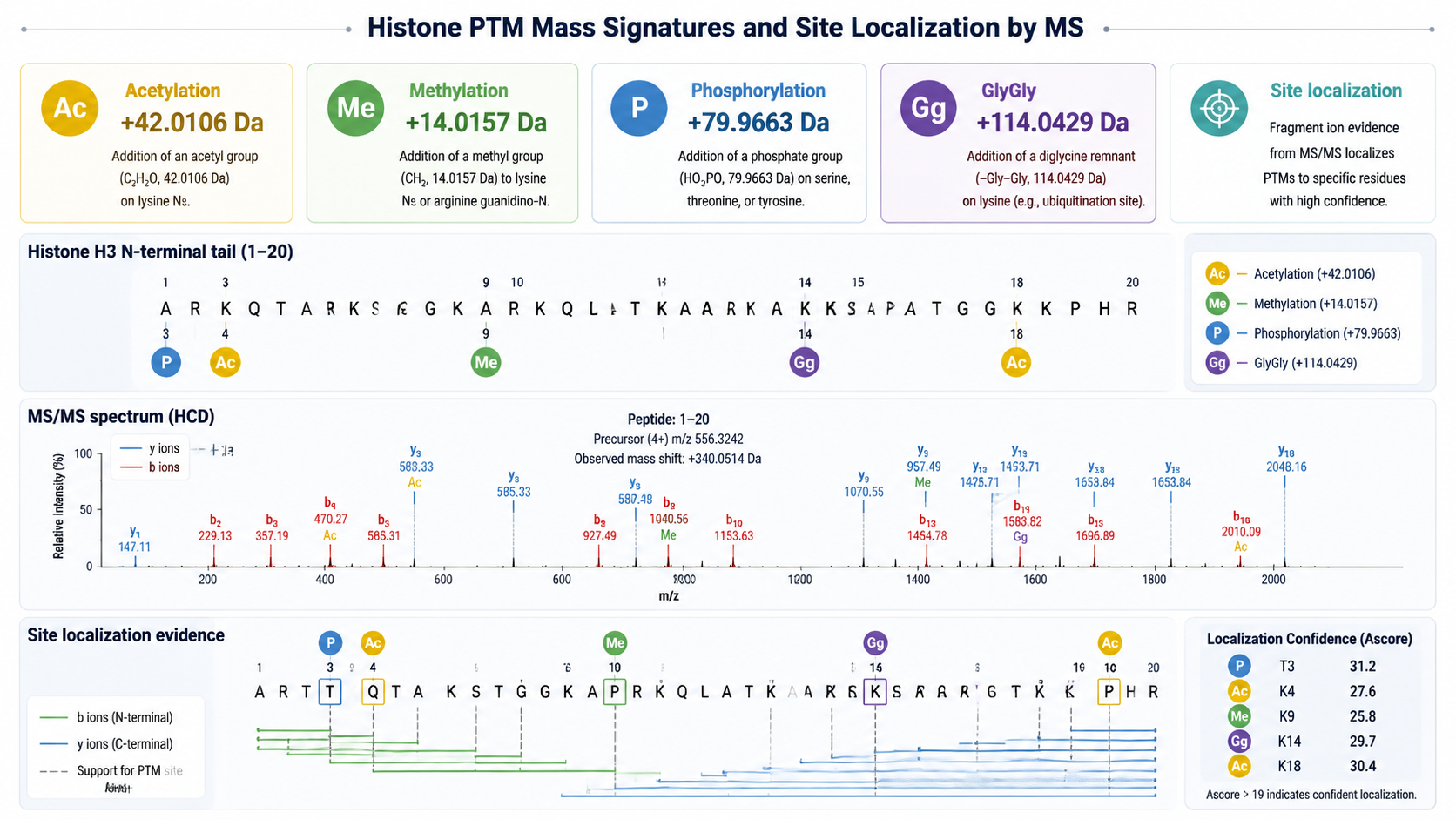 Histone PTM signature map showing acetylation, methylation, phosphorylation, ubiquitination remnant, site localization, and quantitative comparison.