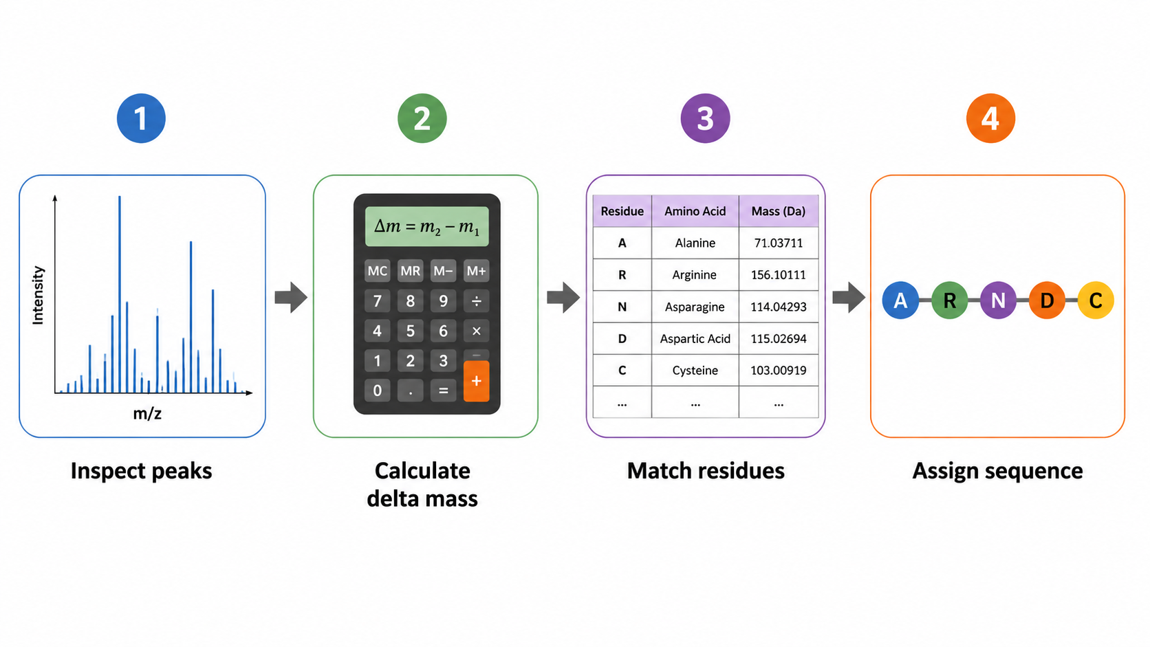Workflow to determine amino acids from MS/MS: peak inspection, mass difference calculation, residue table matching, and sequence assignment.