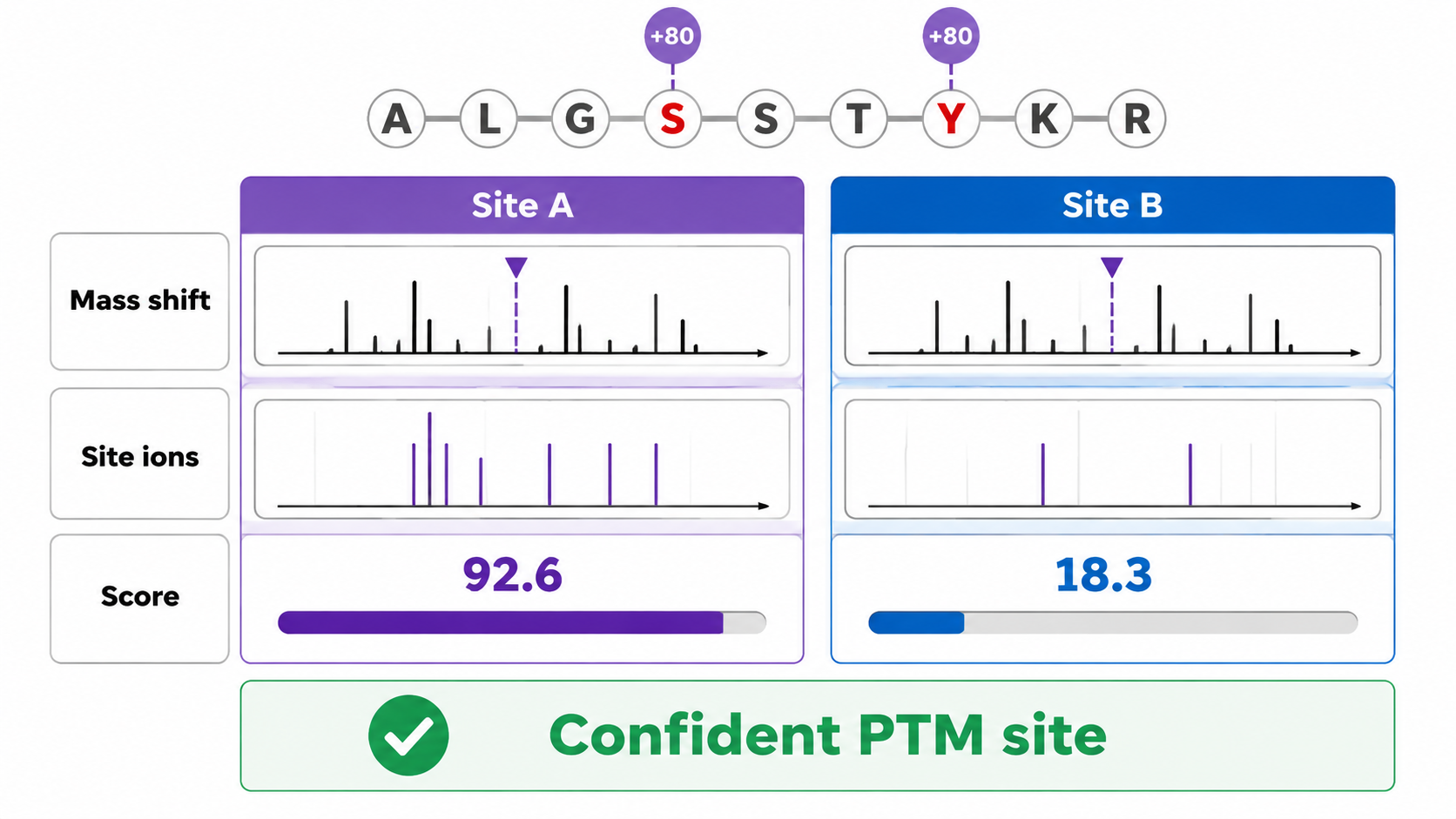 PTM site localization showing candidate modified residues, site-determining ions, neutral loss evidence, and localization score.