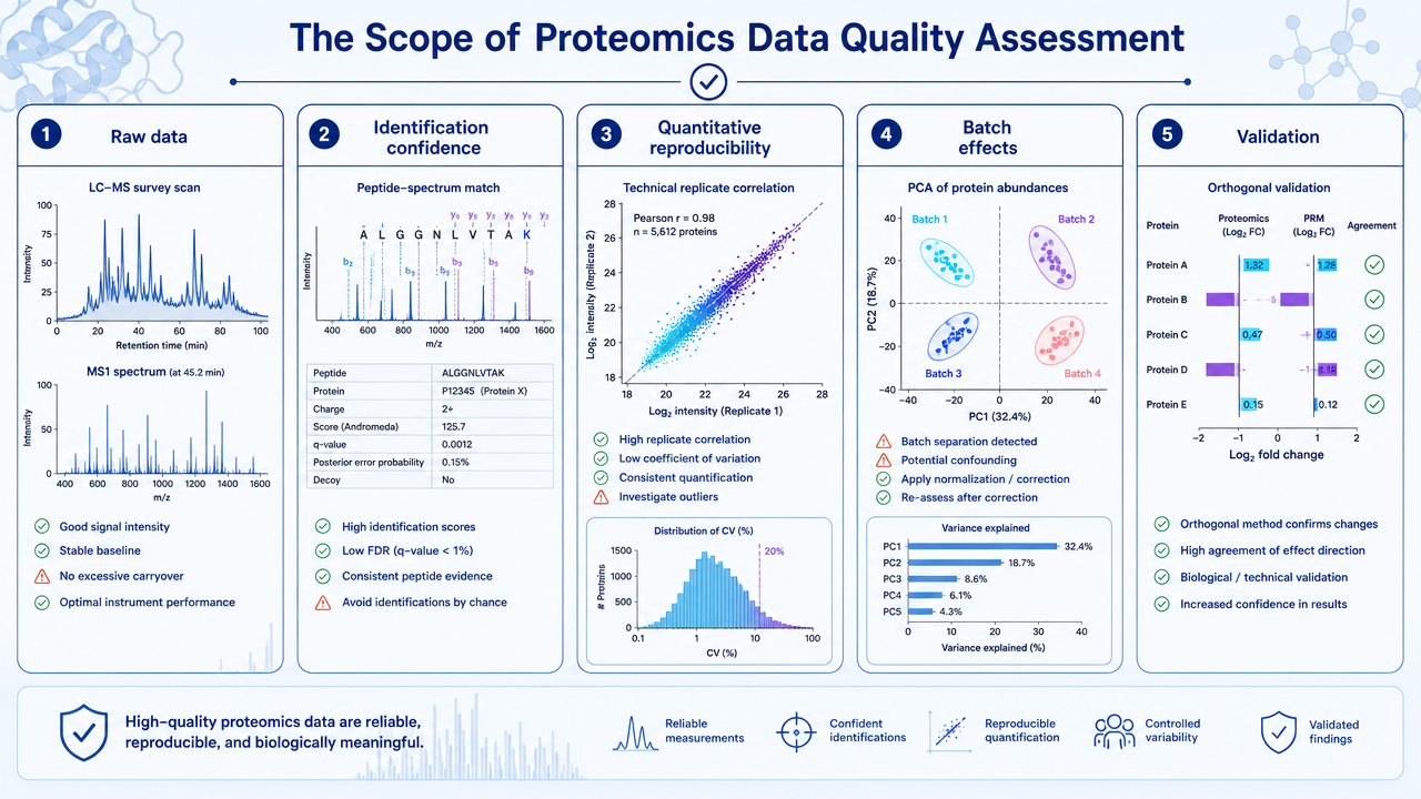 Proteomics data quality assessment overview showing raw data checks, identification confidence, quantitative reproducibility, batch effects, and validation.