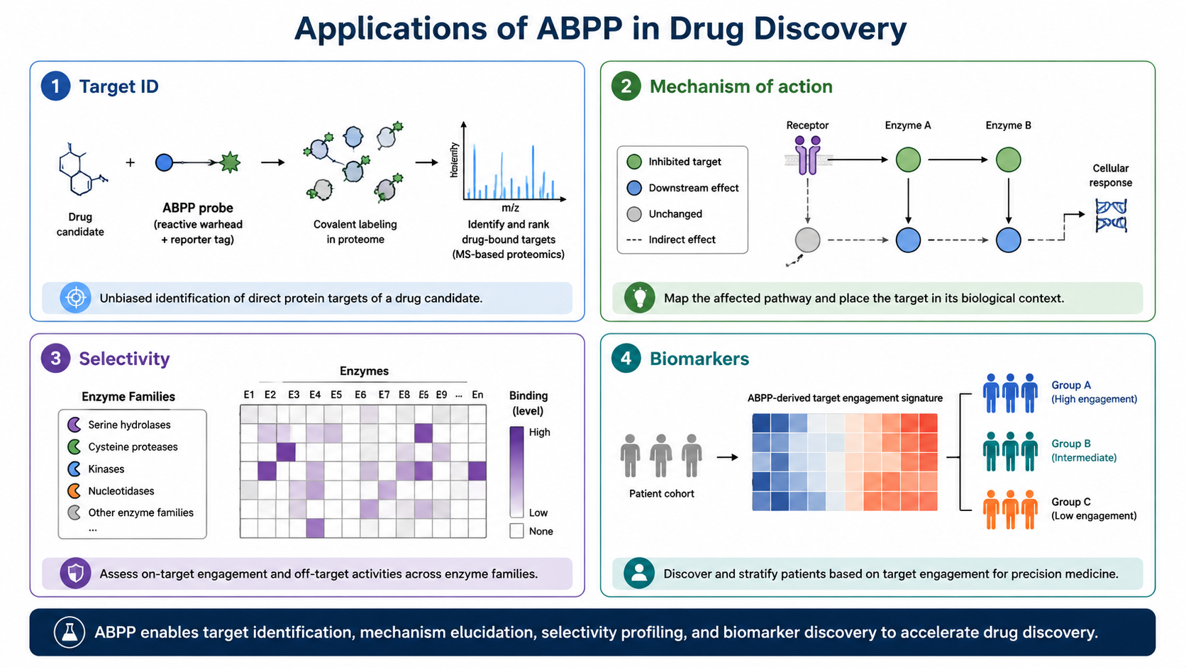 ABPP applications in drug discovery including target ID, mechanism of action, selectivity profiling, and biomarker discovery.