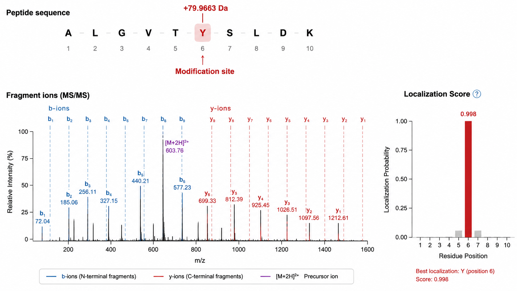 Modification site localization from MS/MS showing mass shift, candidate residues, site localization ions, and confidence scoring.