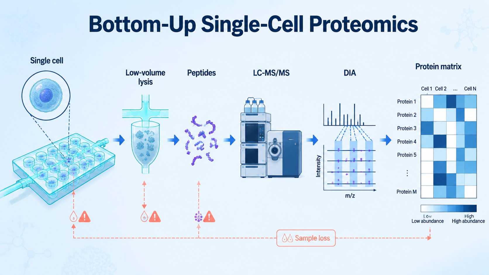 Cover image for bottom-up single-cell proteomics