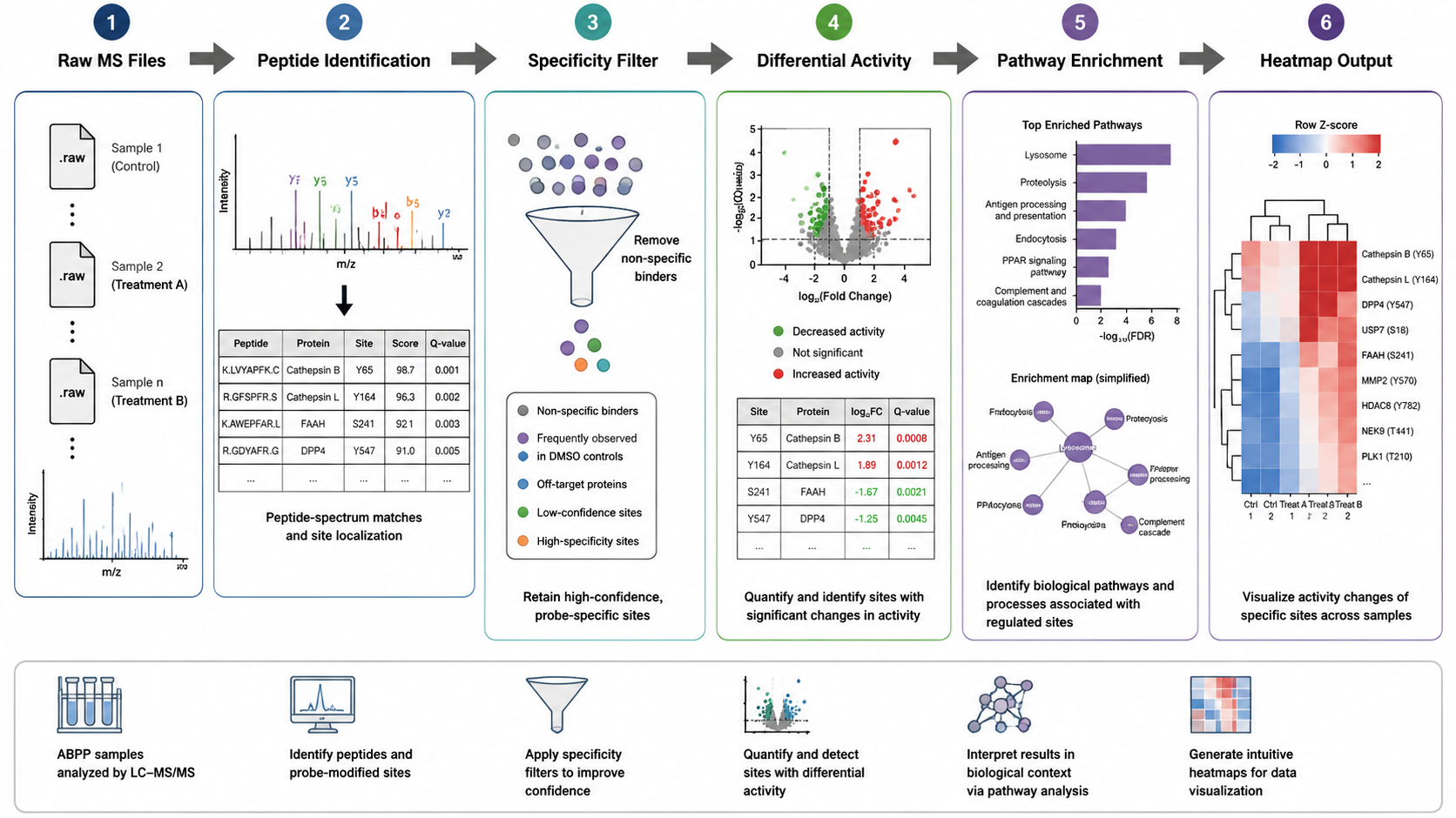 ABPP data analysis pipeline from raw LC-MS/MS files through specificity filtering, differential activity, and pathway enrichment.