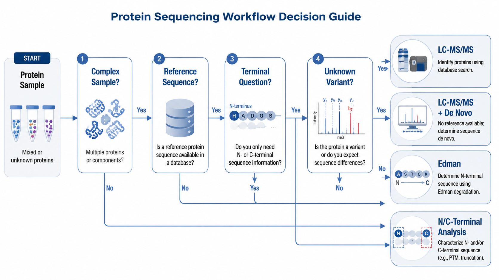 Protein sequencing workflow comparison showing sample purity, reference sequence availability, terminal questions, unknown variants, and the choice between LC-MS/MS, de novo, Edman, and terminal sequencing.