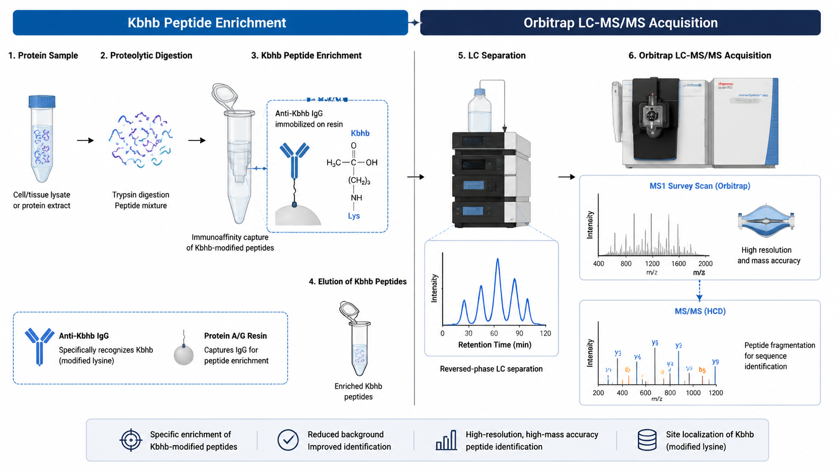 Kbhb peptide enrichment and LC-MS/MS acquisition settings for histone beta-hydroxybutyrylation site mapping.