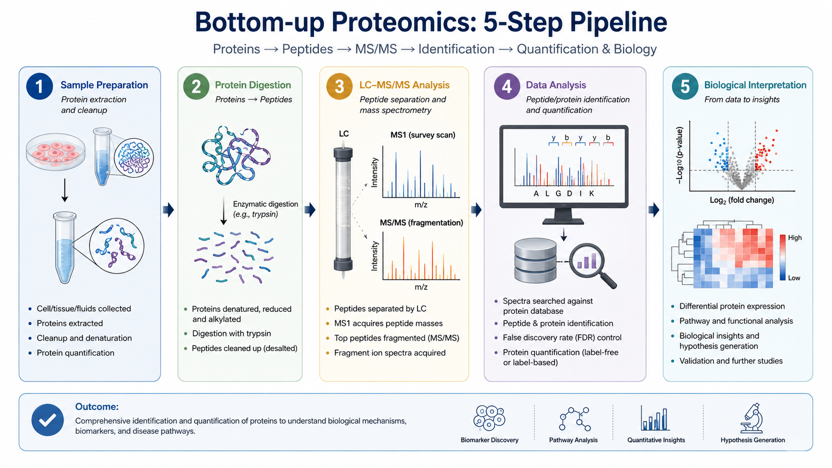 Pipeline overview