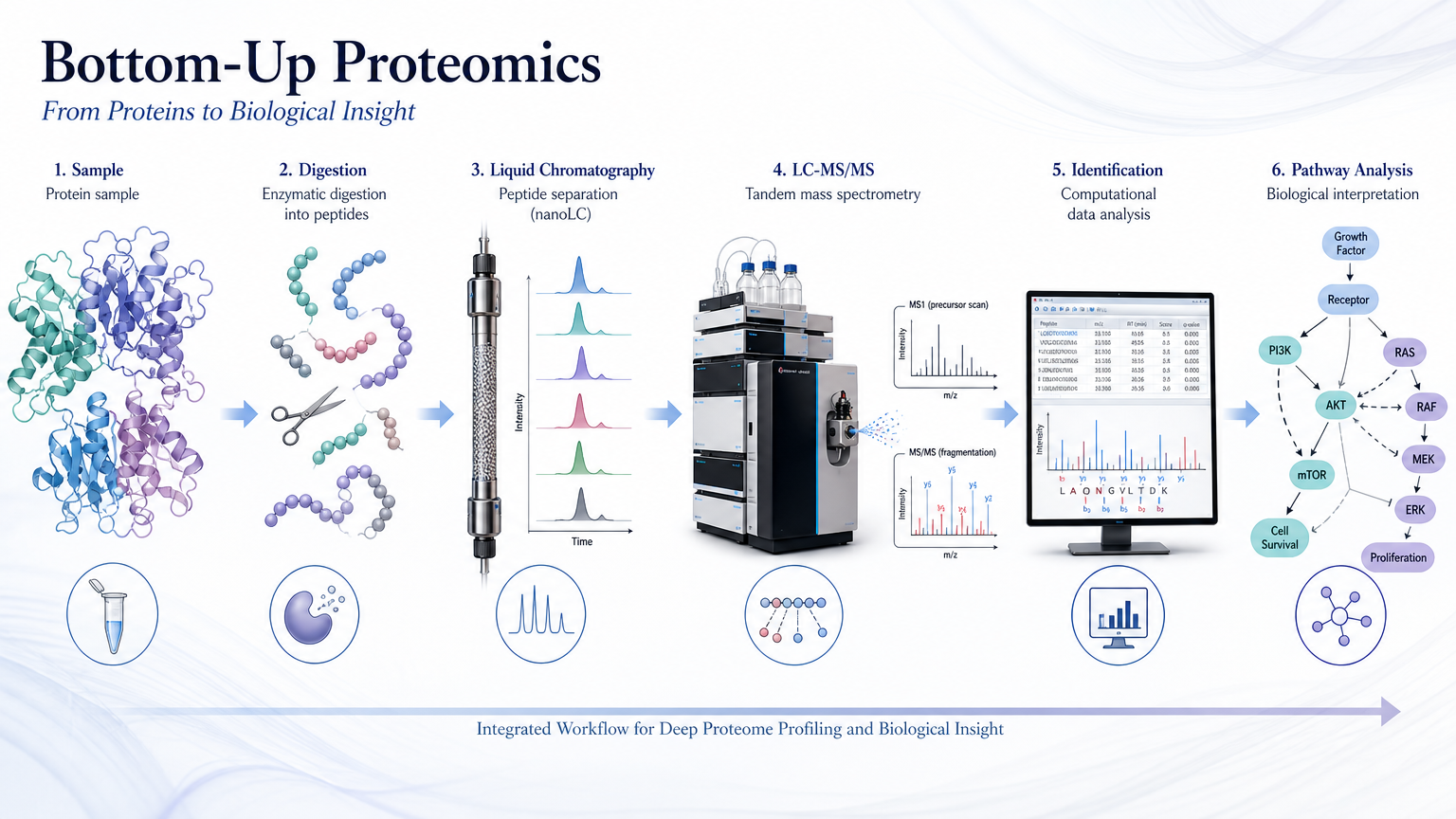 Bottom-up proteomics data analysis pipeline cover