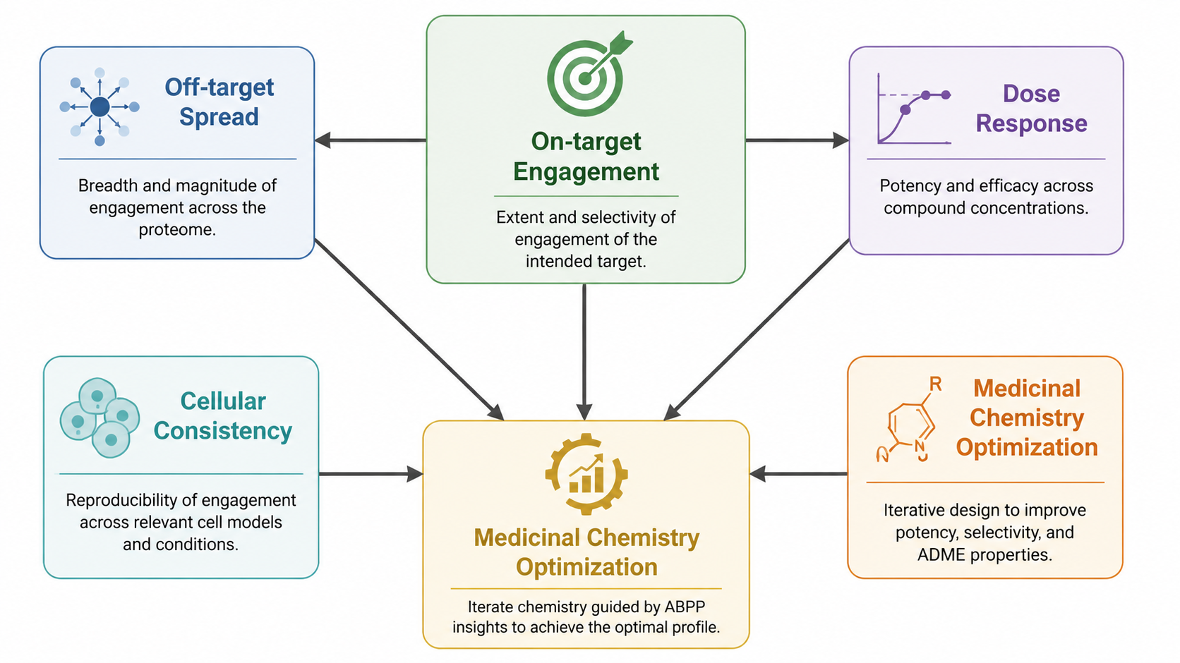 ABPP compound screening interpretation map showing target engagement, off-target spread, dose response, and medicinal chemistry feedback loops.