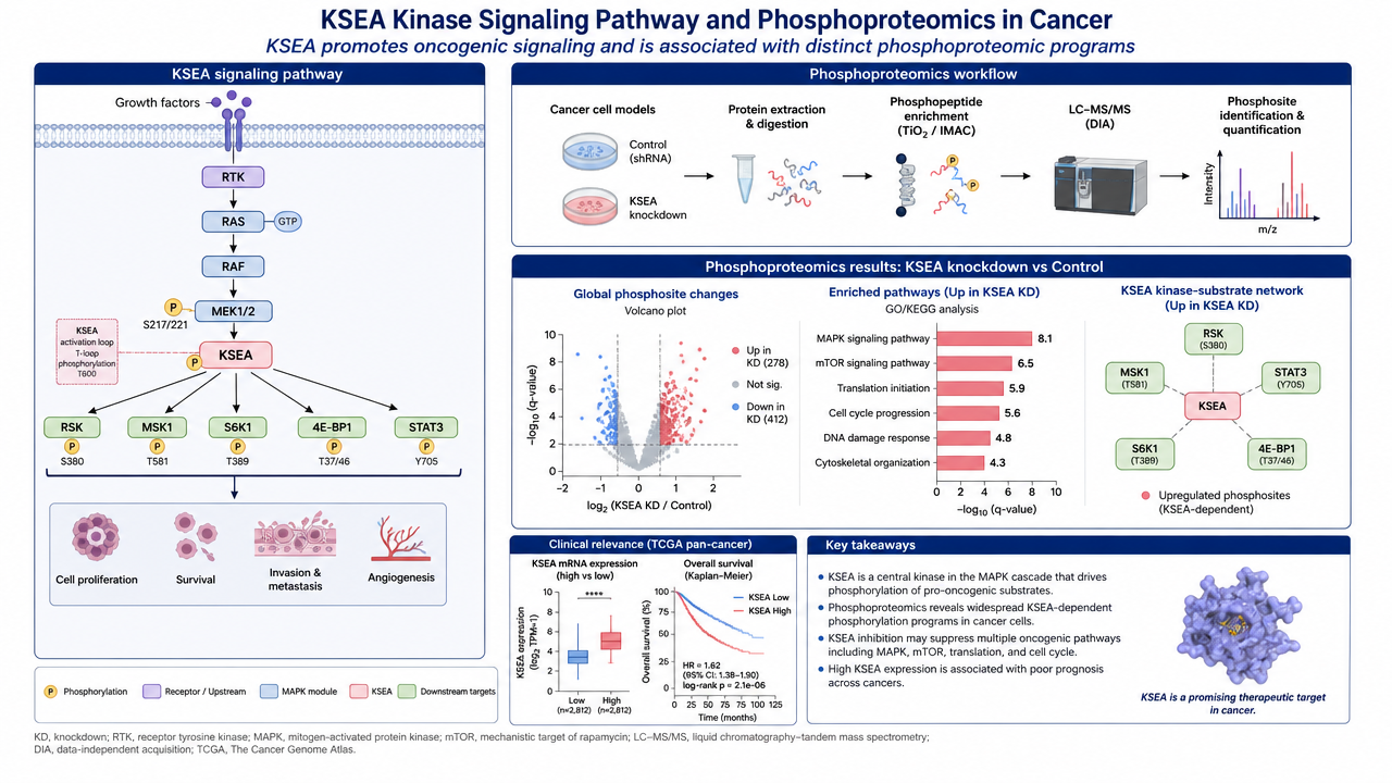KSEA pathway analysis