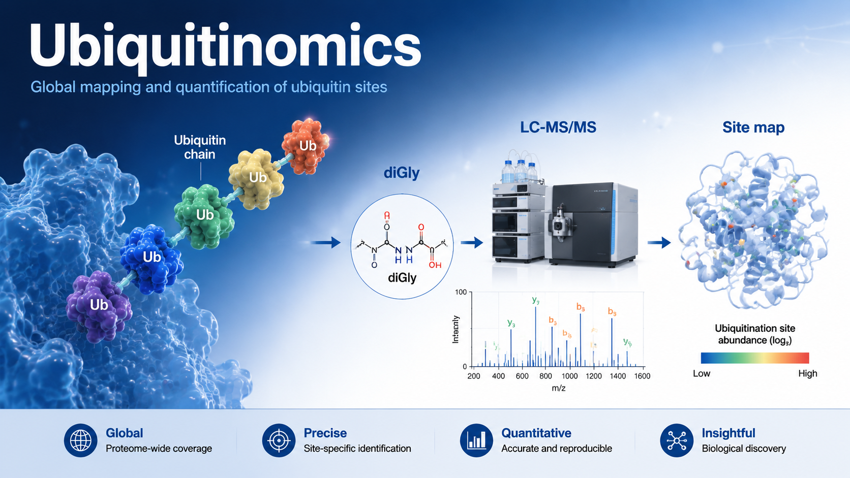 Cover image for quantitative ubiquitinomics principles