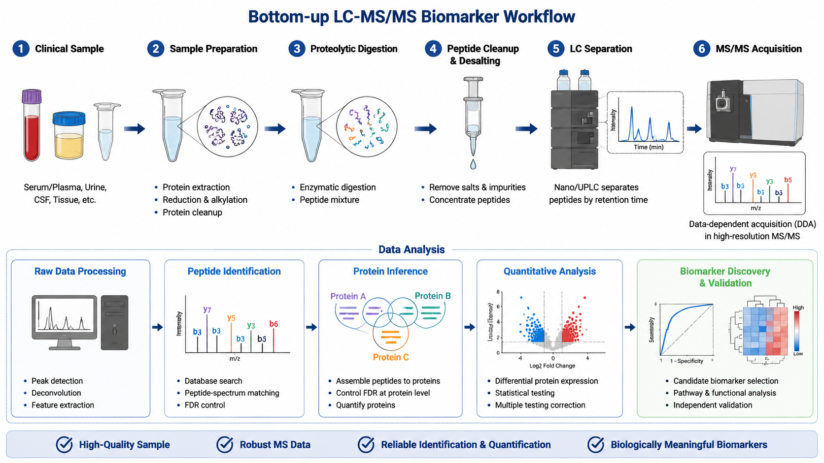 Bottom-up proteomics clinical workflow