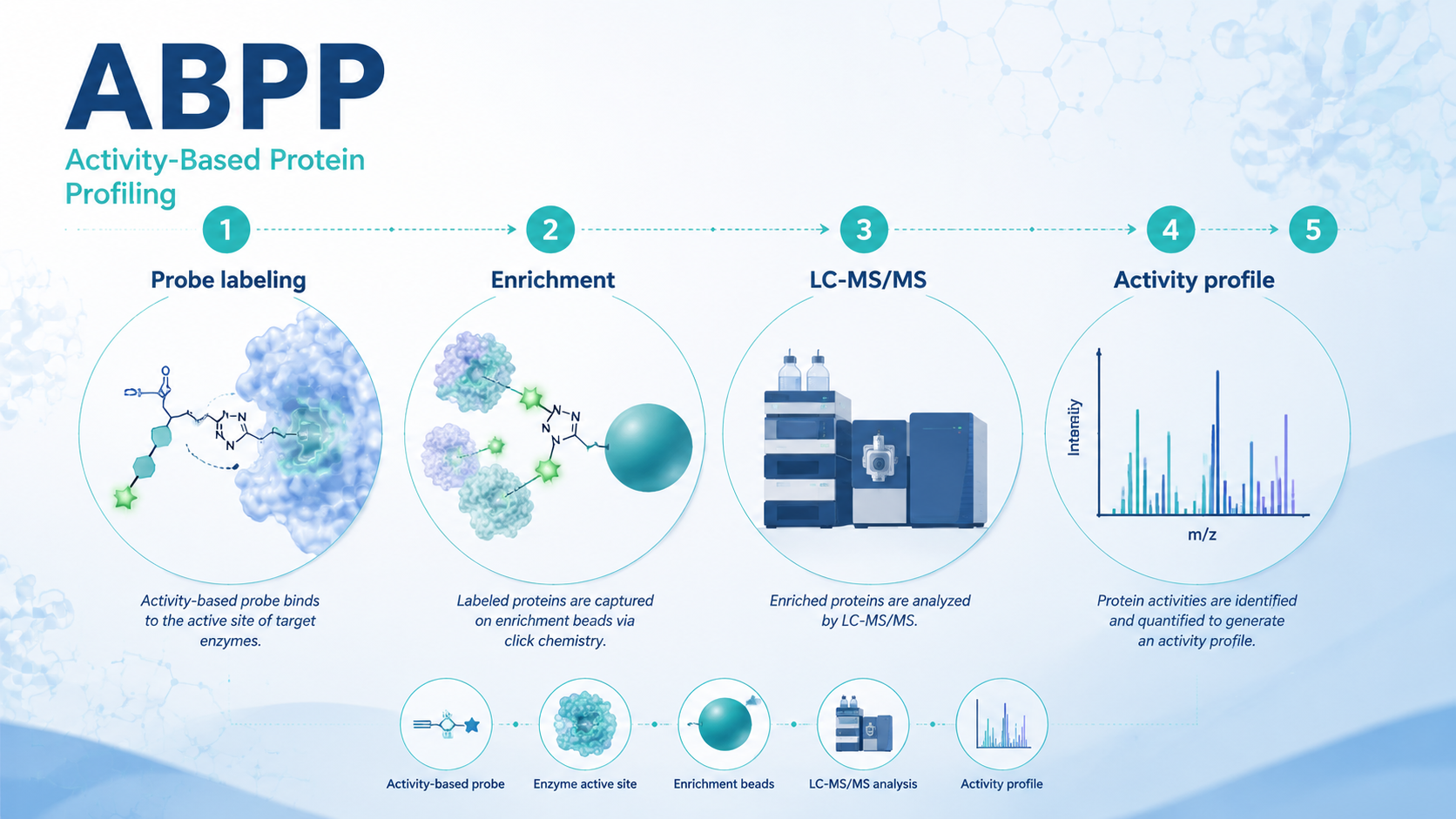 Cover image for step-by-step ABPP experiment protocol