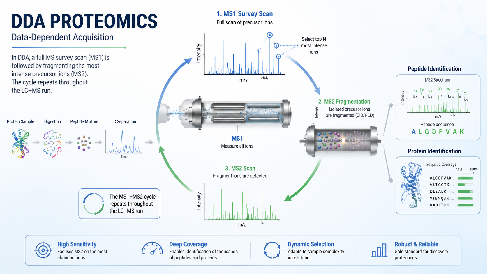 DDA in proteomics cover