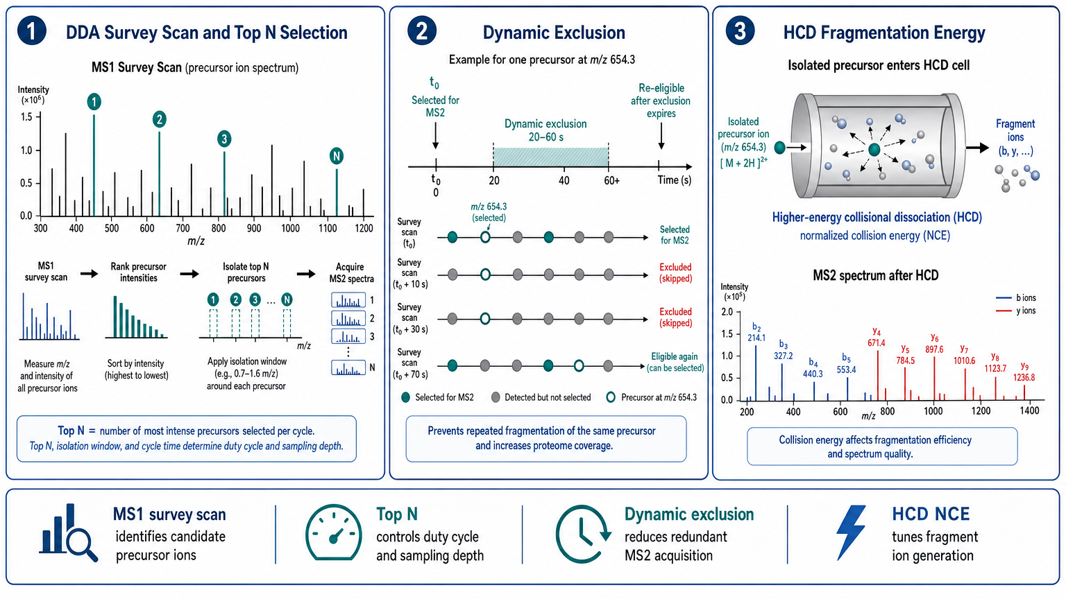 DDA MS2 Top N and dynamic exclusion