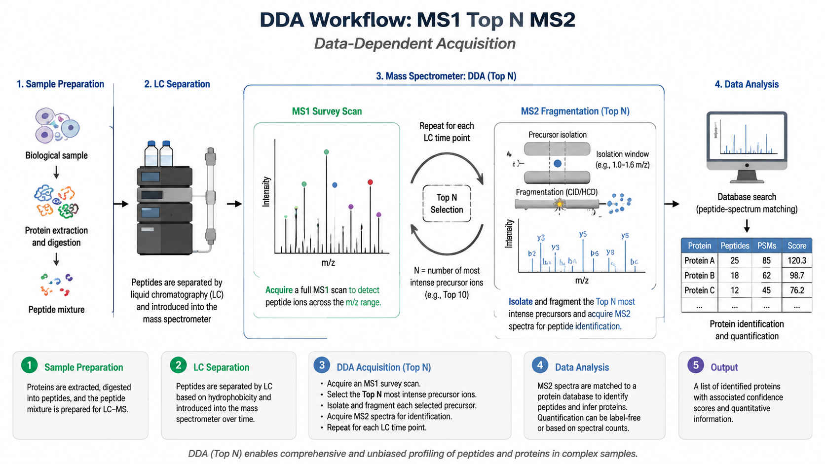 DDA workflow