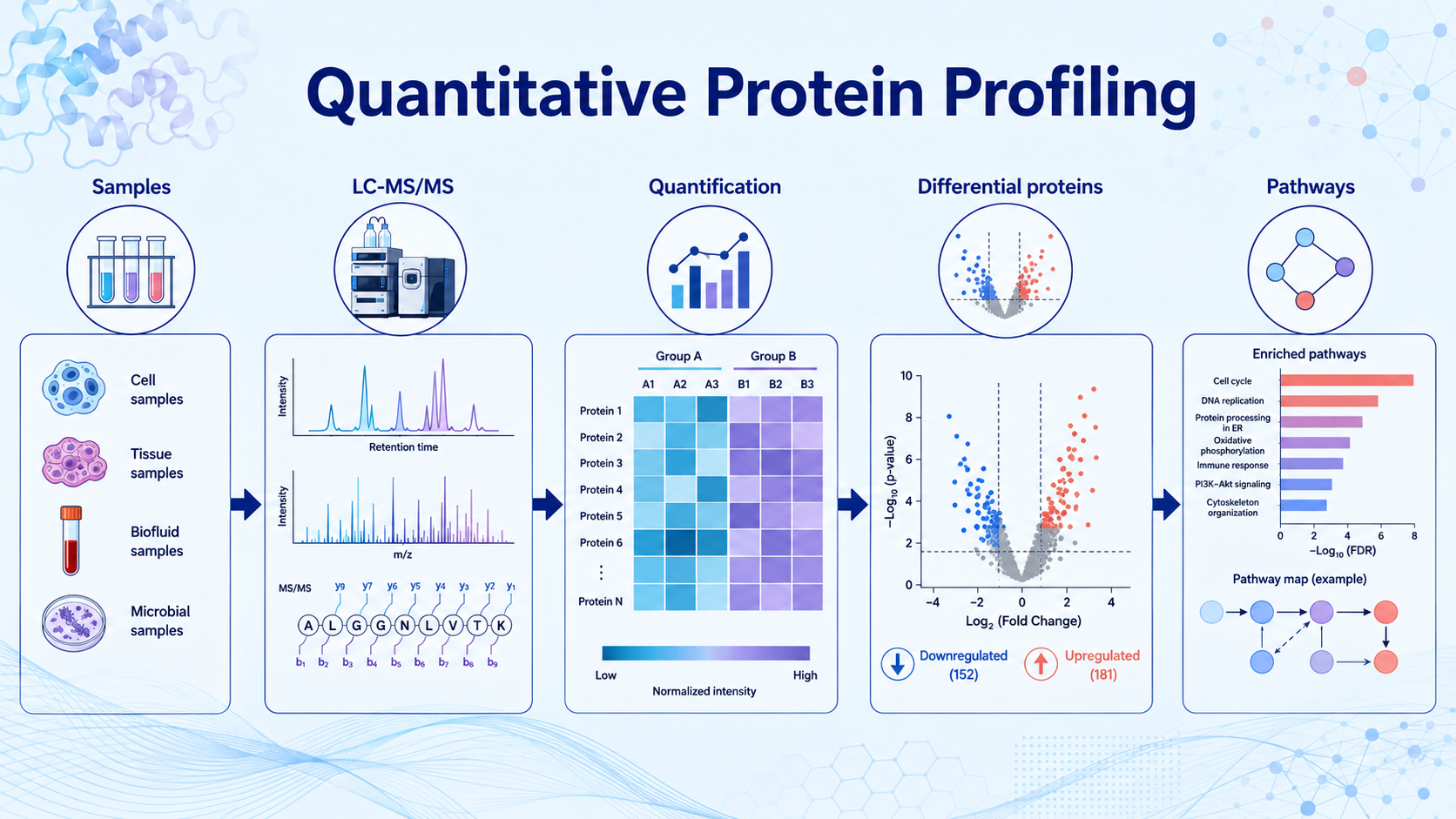 Cover image for quantitative protein profiling
