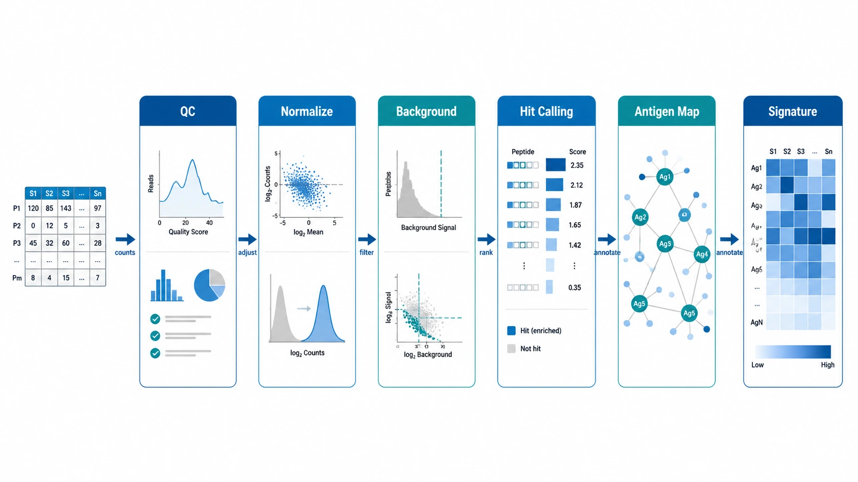 phip seq analysis workflow showing QC, normalization, background correction, hit calling, antigen mapping, and antibody signature interpretation