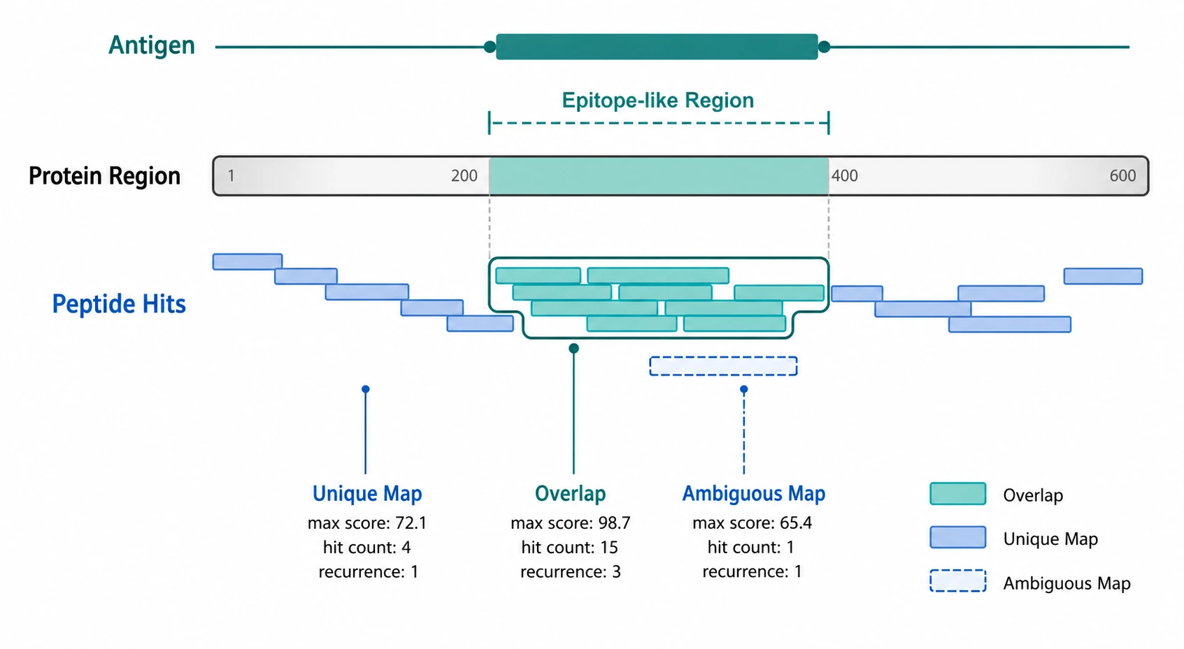 phip seq analysis diagram showing enriched peptide hits mapped to antigen regions and epitope-like peptide overlap