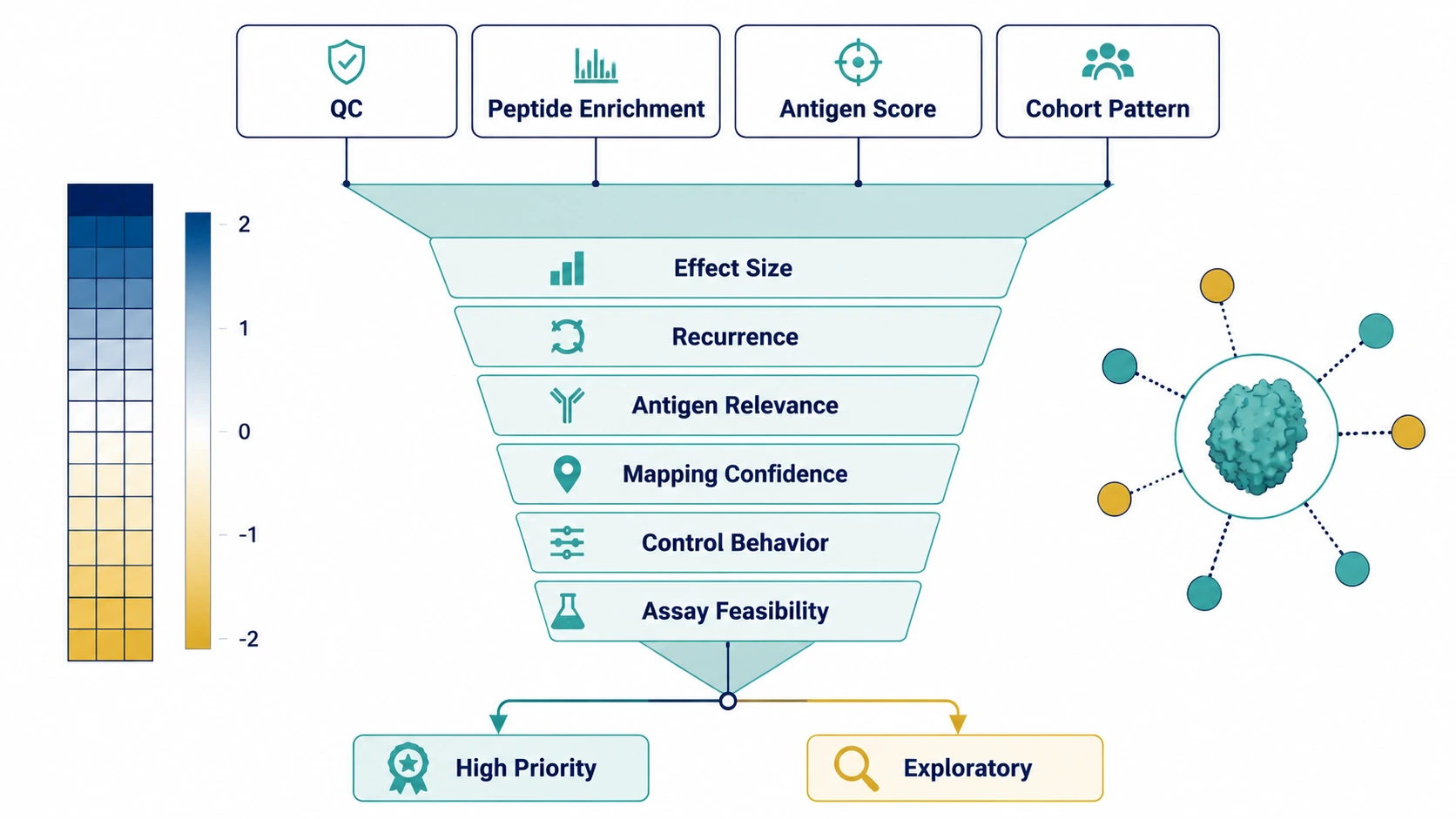 phip seq analysis decision path for ranking antibody signature candidates by effect size, recurrence, antigen relevance, and validation feasibility
