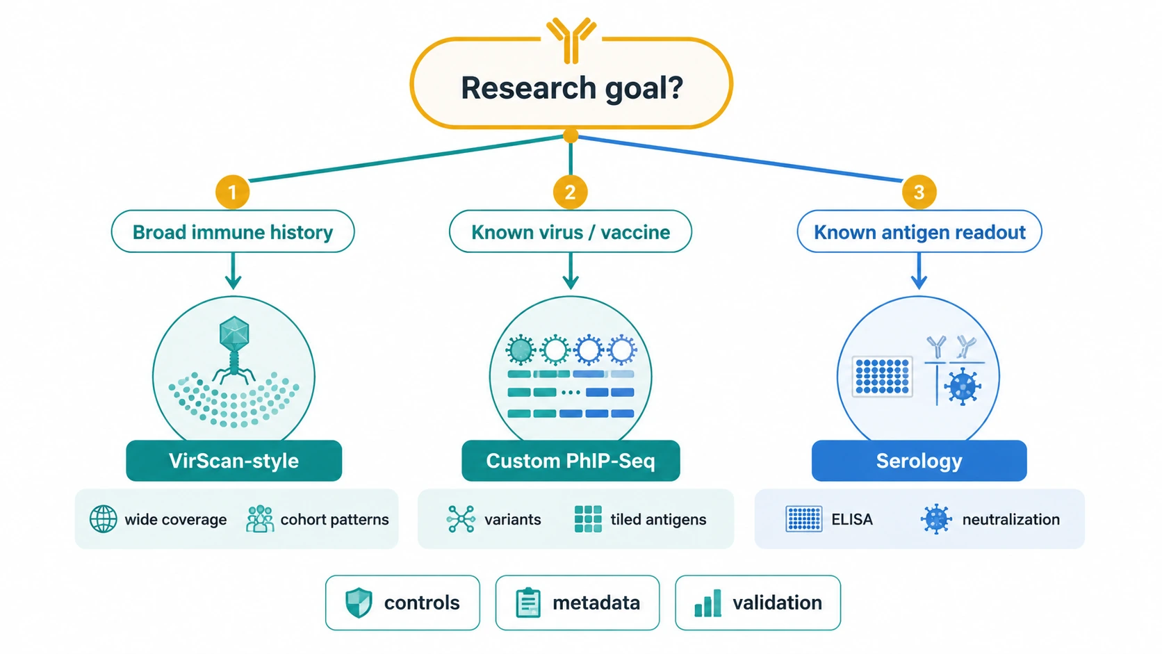 virscan phip-seq decision guide for broad immune history, custom pathogen PhIP-Seq, and conventional serology
