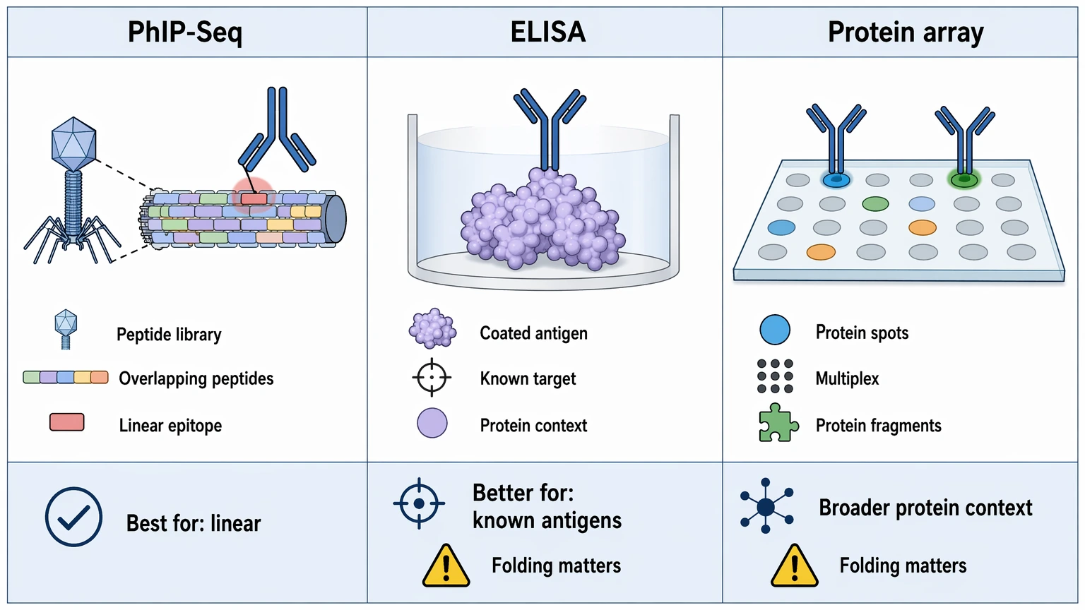 phip seq antigen representation comparison showing peptide tiles, ELISA coated antigen, and protein array protein spots