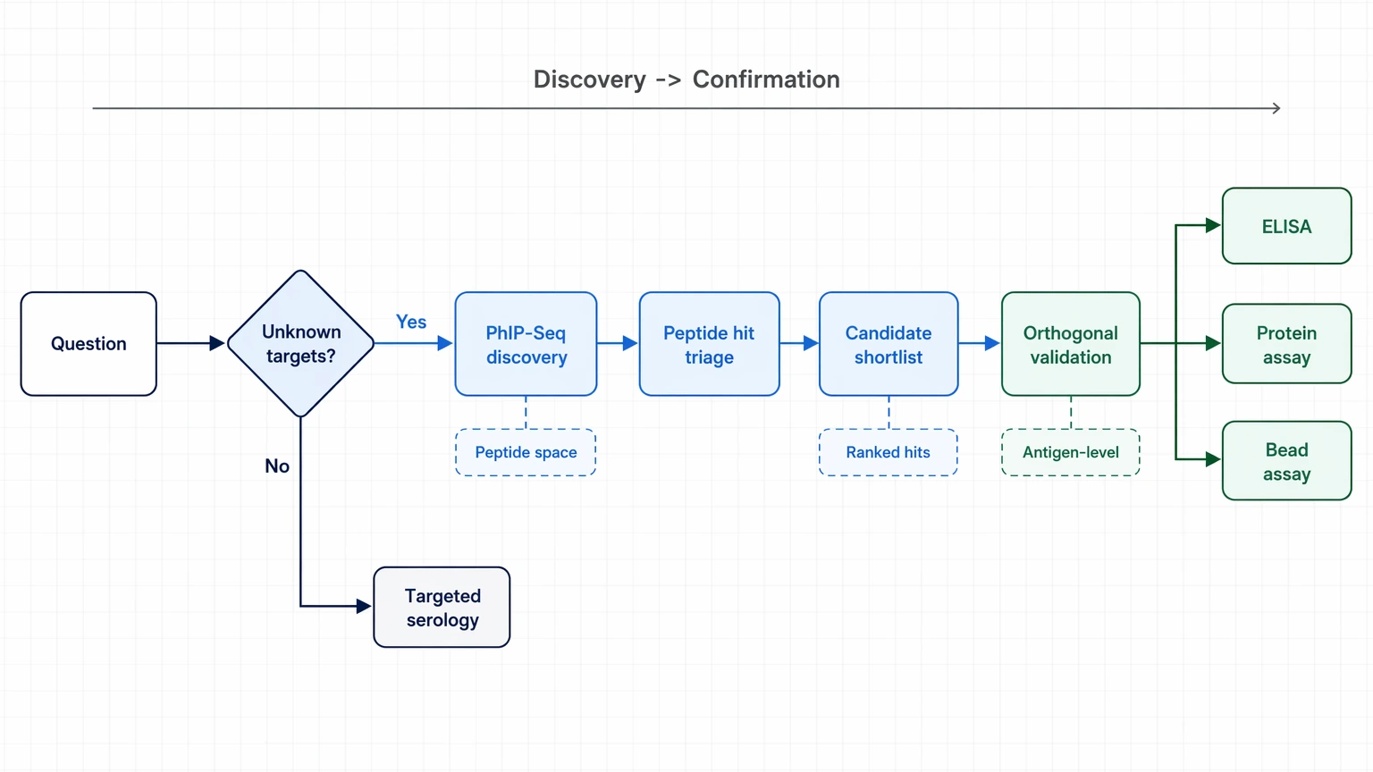 phip seq staged workflow diagram from discovery screening to orthogonal validation and targeted serology decisions