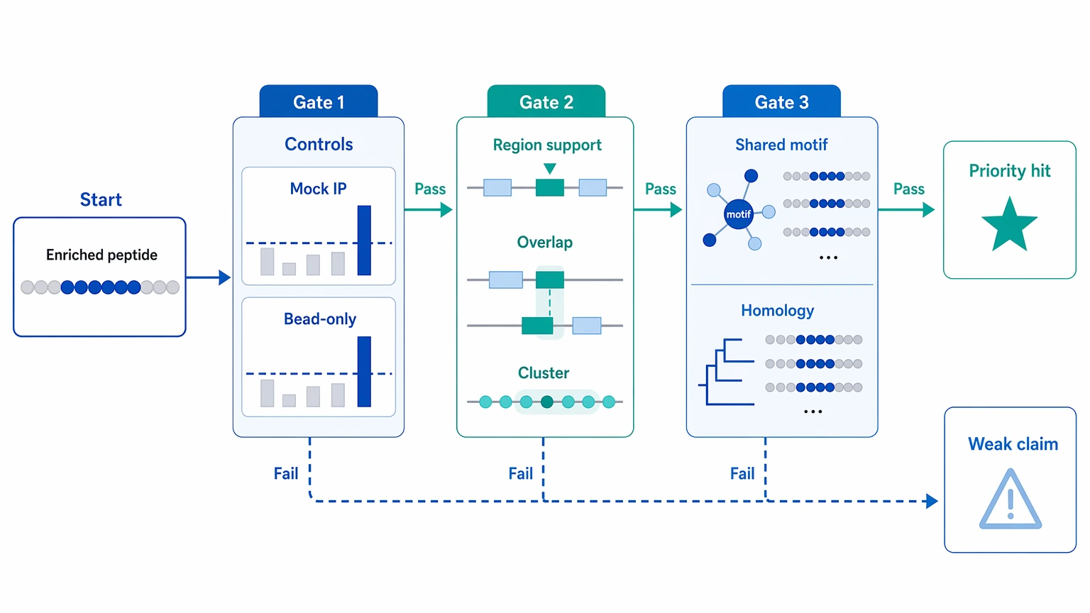 phip seq analysis decision path showing enriched peptide checks for controls, antigen context, and cross-reactivity