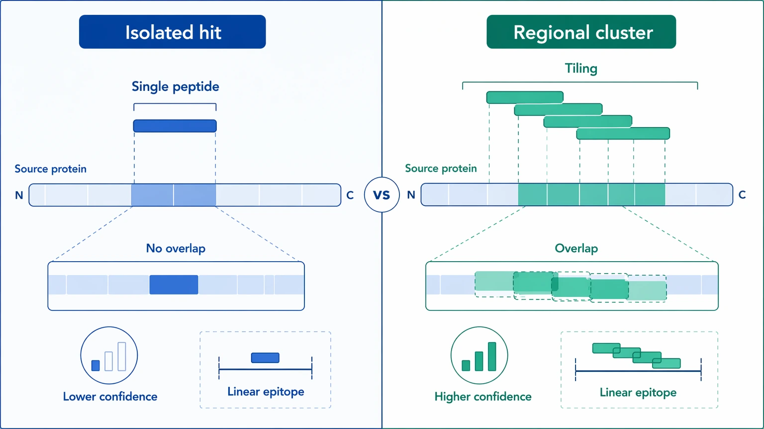 phip seq analysis comparison of isolated enriched peptide and overlapping peptide cluster on a source protein region