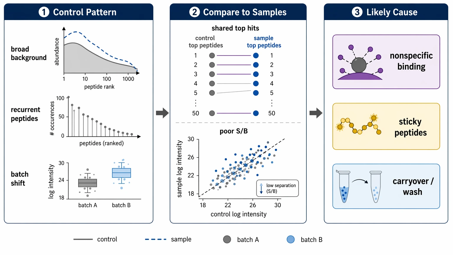 phip seq analysis troubleshooting diagram of negative control patterns, shared top peptides, and background signal causes
