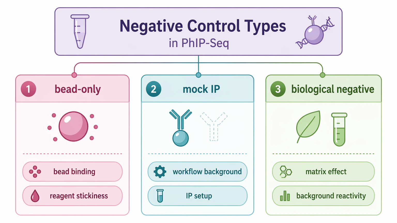 PhIP-Seq analysis negative control guide comparing bead-only, mock IP, and biological negative controls