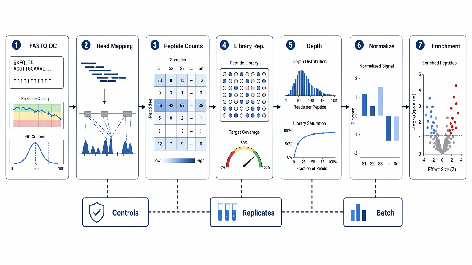phip-seq analysis workflow diagram showing read mapping, peptide counting, QC, normalization, and enrichment analysis