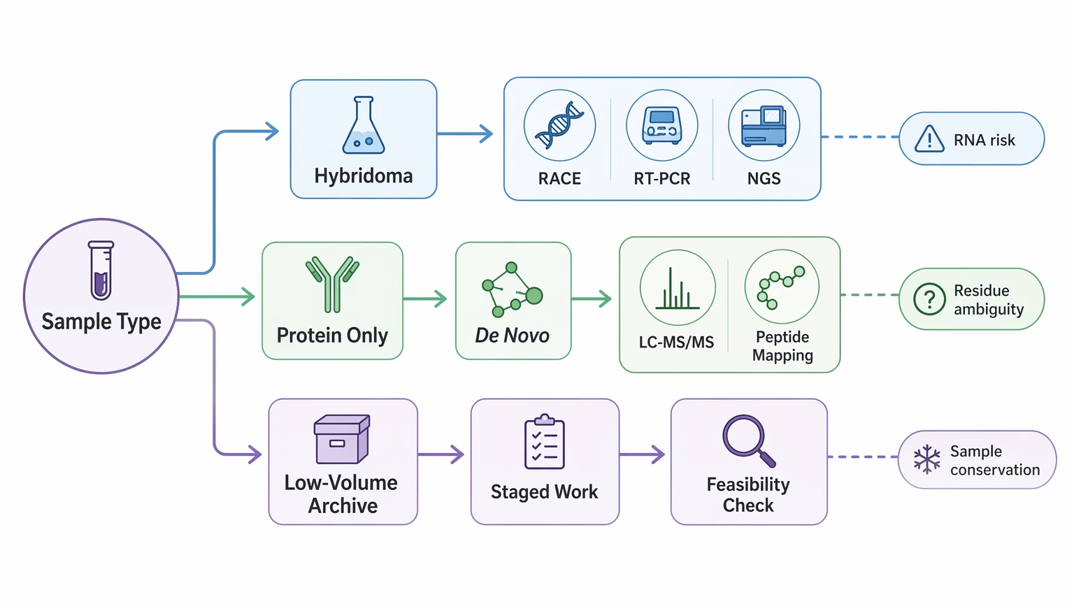 Antibody sequencing service selection guide showing sample type to recovery route for hybridoma and purified antibody projects