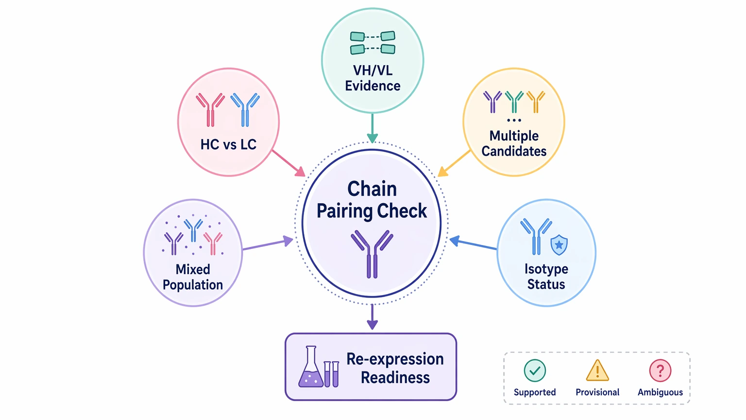 Antibody sequencing service chain pairing evidence diagram for heavy chain and light chain assignment review