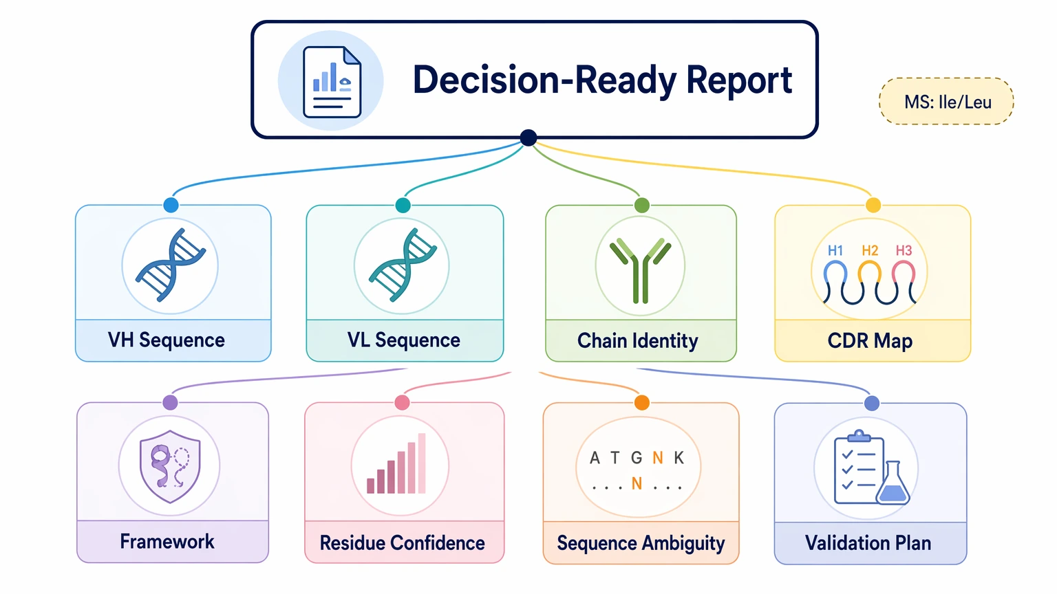 Antibody sequencing service report structure showing VH VL sequence recovery and validation deliverable components