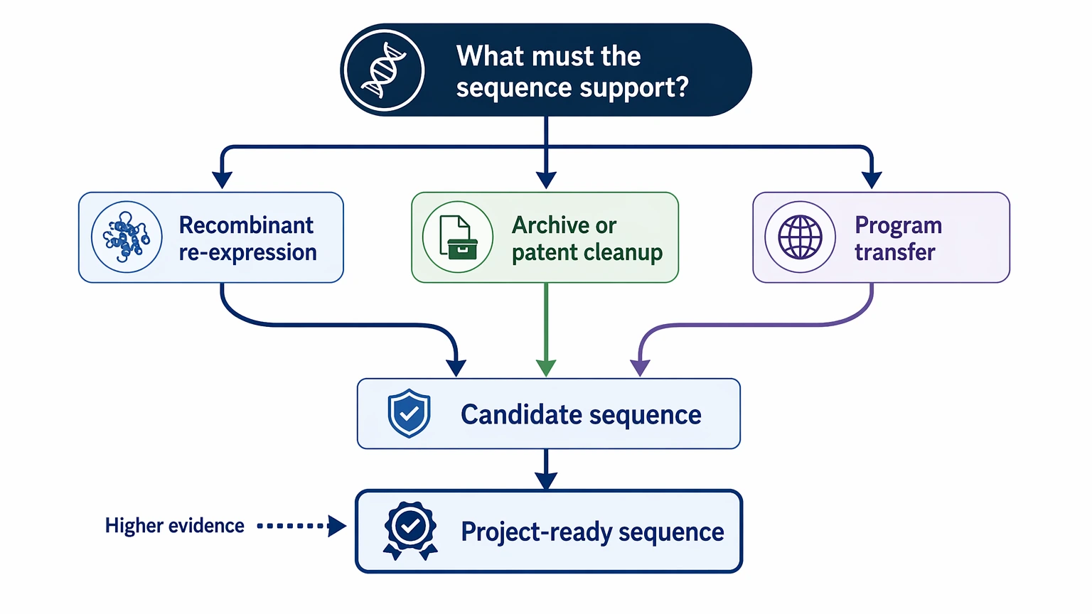Hybridoma antibody sequencing decision path showing how downstream use sets the evidence bar for VH/VL recovery