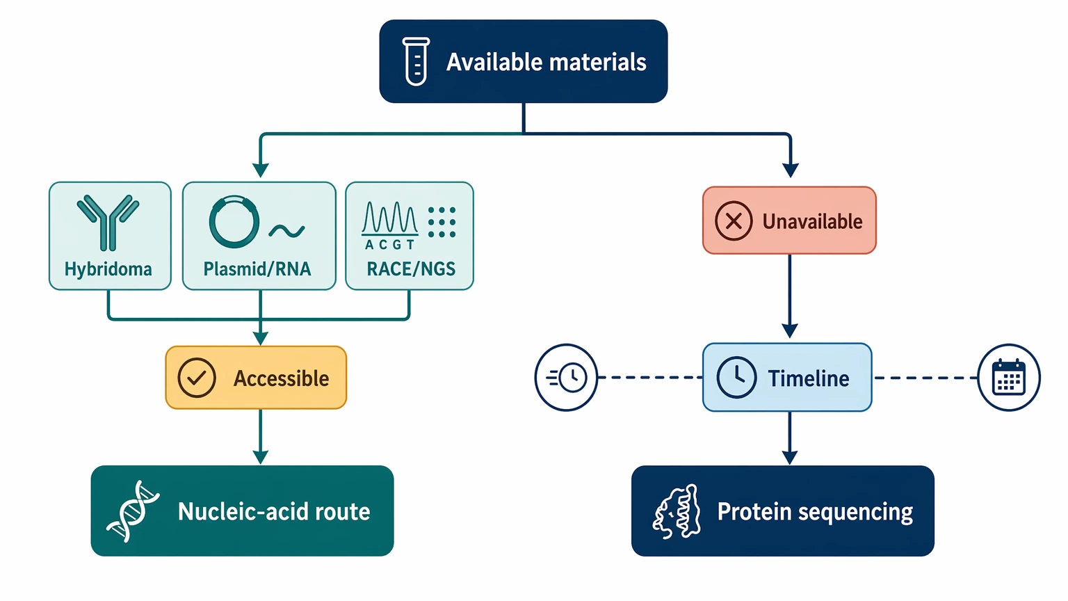 Antibody protein sequencing service decision path comparing nucleic-acid access versus protein sequencing route