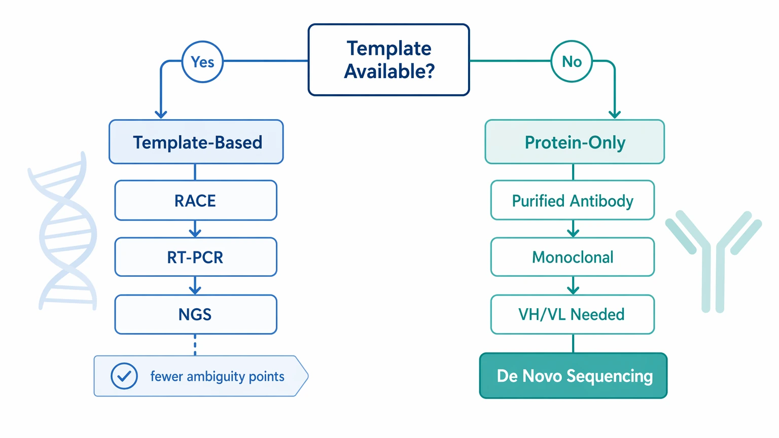 de novo antibody sequencing decision path showing protein-only versus template-based sequence recovery routes