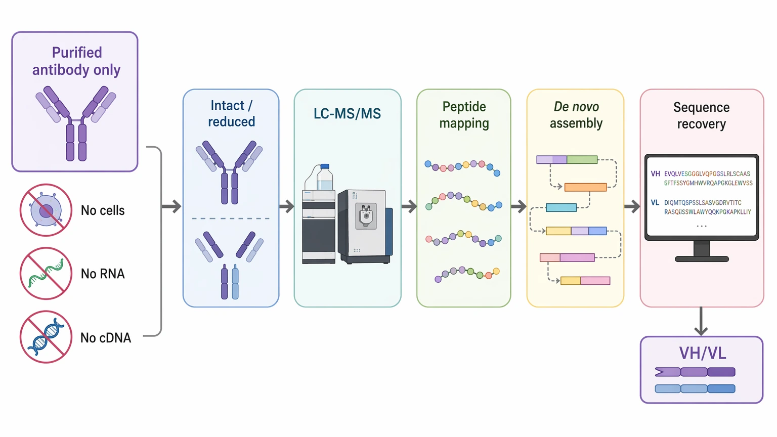 Antibody sequencing mass spectrometry workflow for purified antibody only samples using an MS-first route