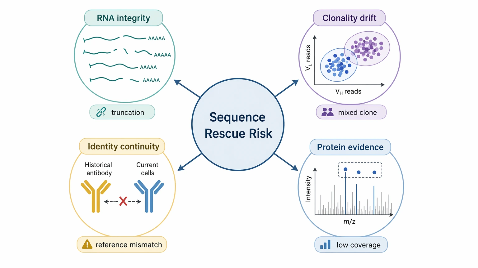 Hybridoma monoclonal antibody sequencing problem localization diagram showing four sequence rescue failure modes