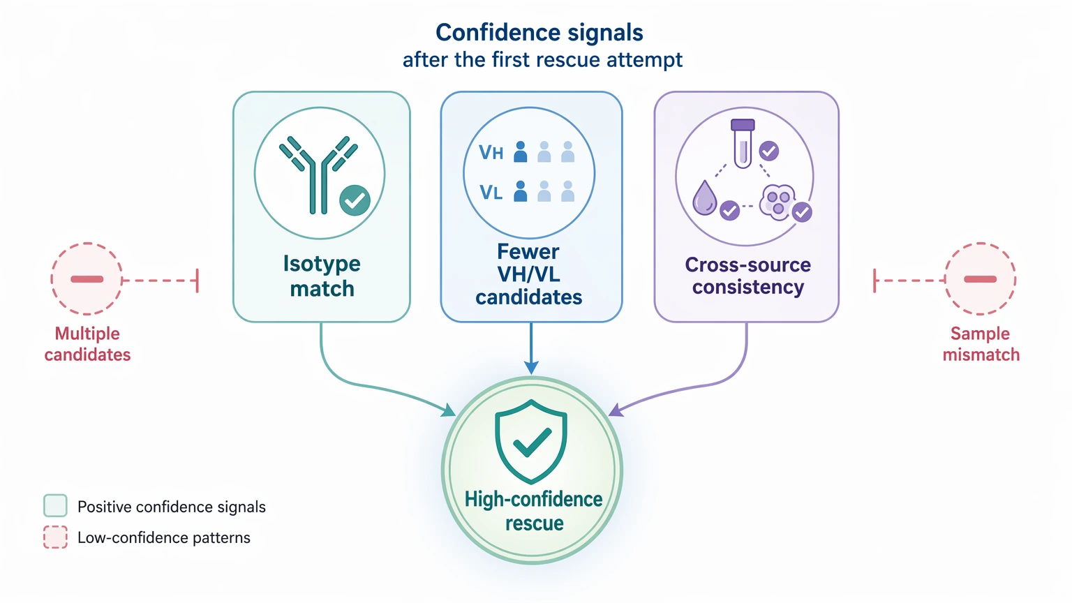 Hybridoma monoclonal antibody sequencing troubleshooting diagram showing confidence signals after the first rescue attempt