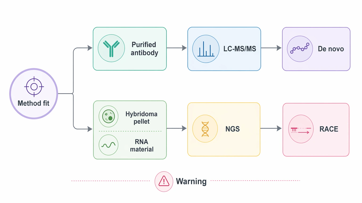 Antibody sequencing services sample-to-method selection guide showing purified antibody, LC-MS/MS, NGS, and RACE paths