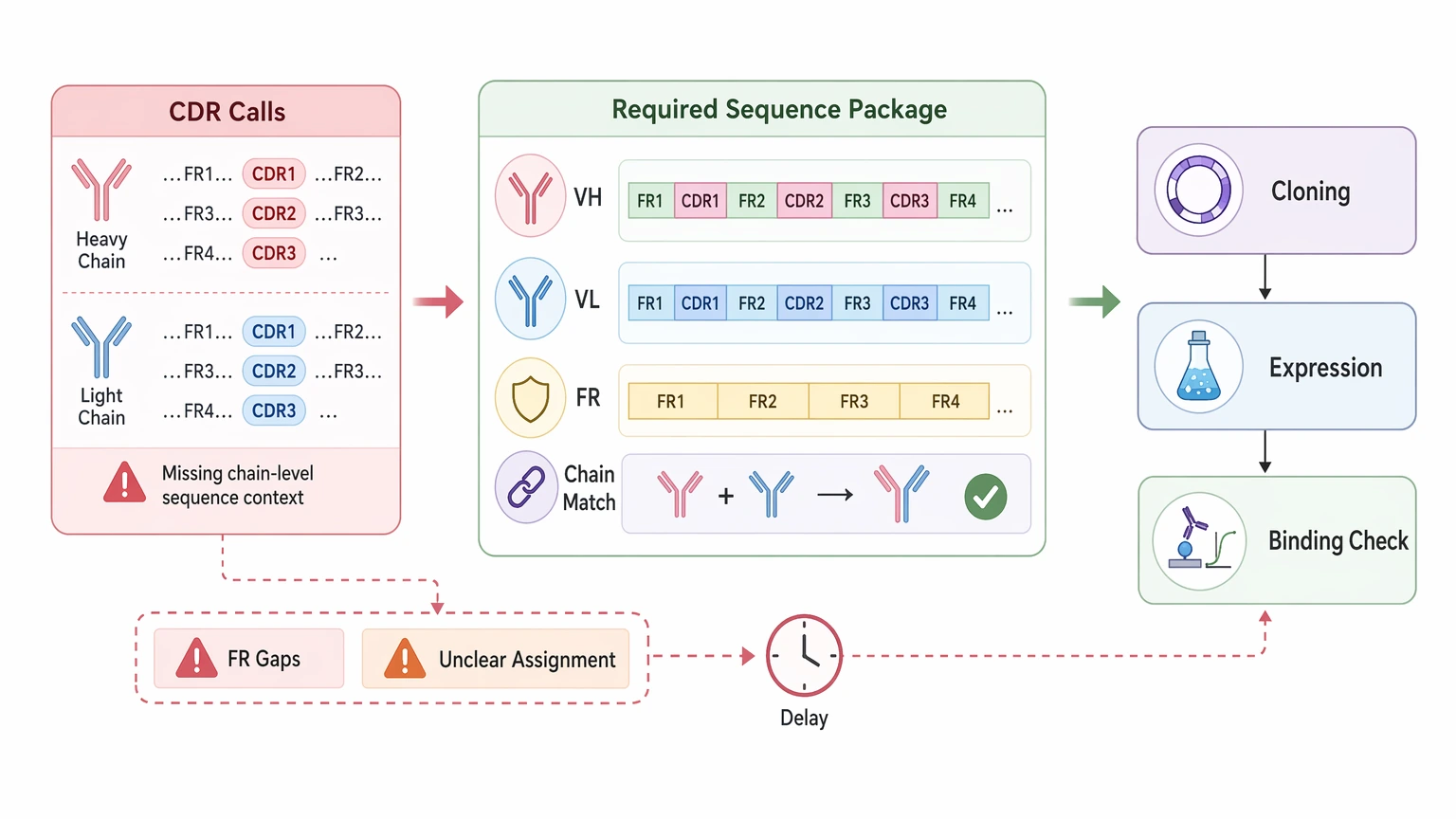 Antibody CDR sequencing and full-length recovery workflow for recombinant re-expression planning