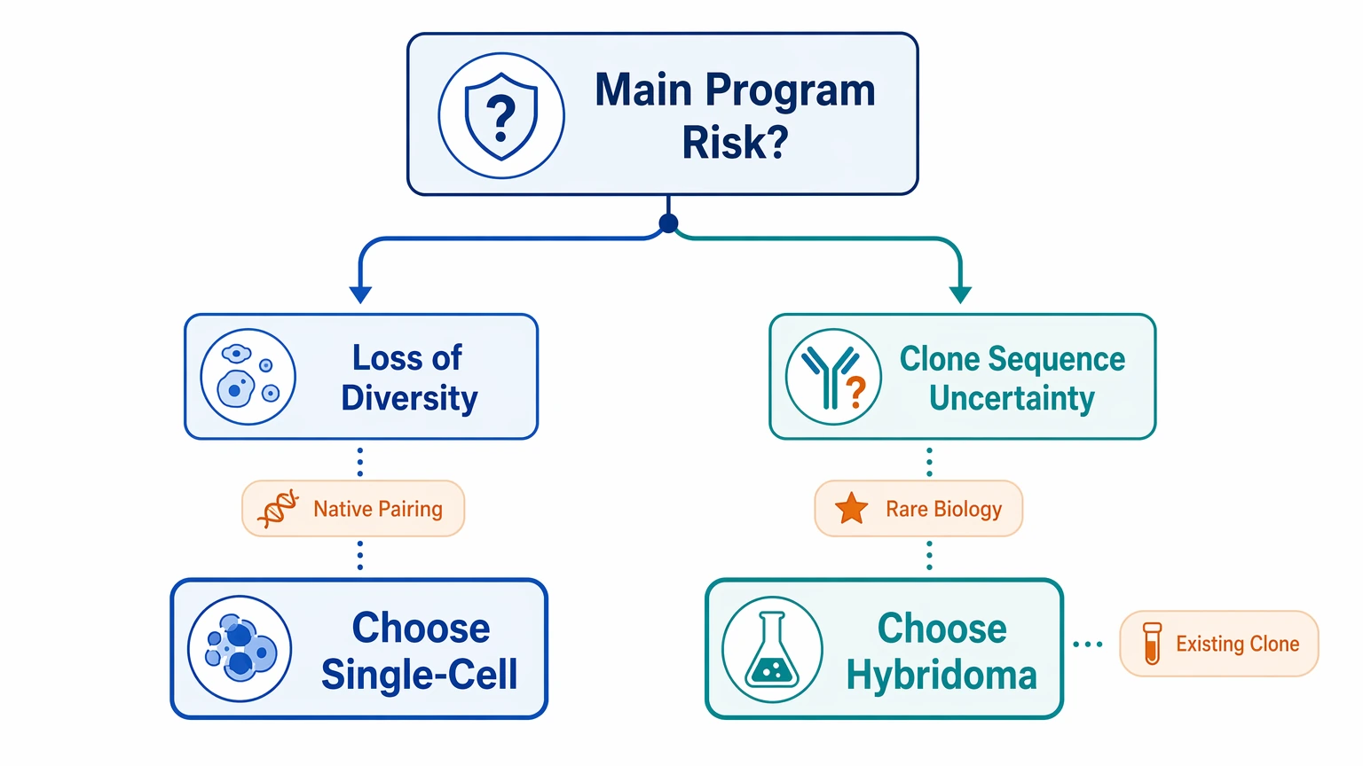 single-cell antibody sequencing decision tree showing selection between single-cell and hybridoma routes