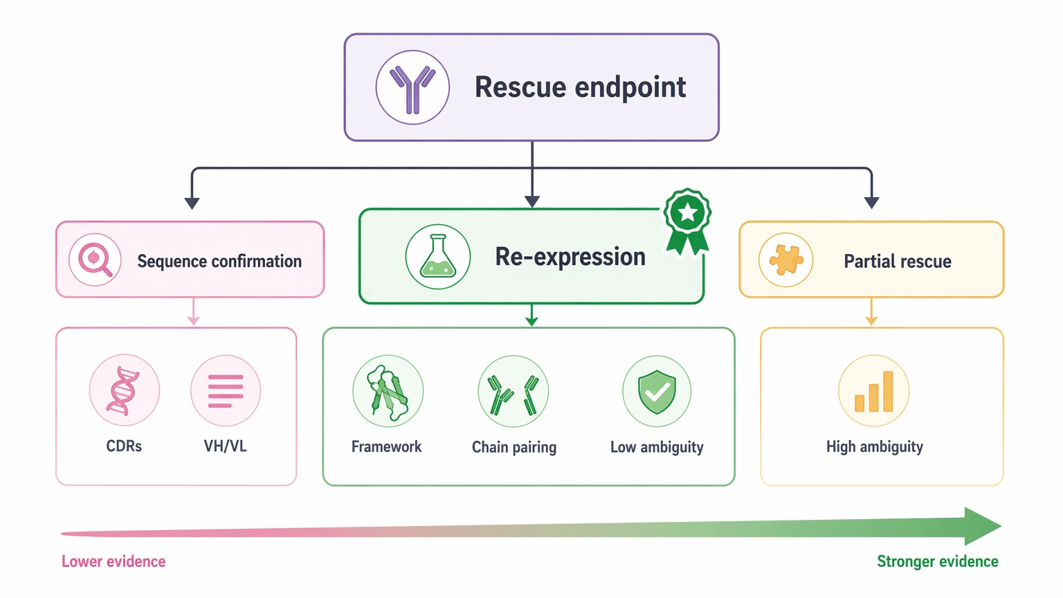Monoclonal antibody sequencing selection guide showing rescue endpoints for sequence confirmation, partial rescue, and recombinant re-expression