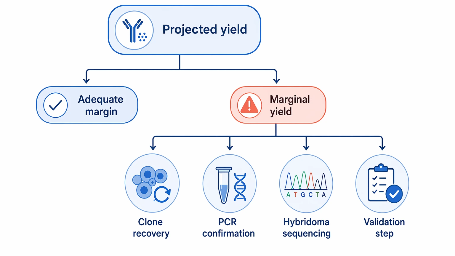 single-cell antibody sequencing selection guide for orthogonal recovery paths when antigen-positive yield is marginal
