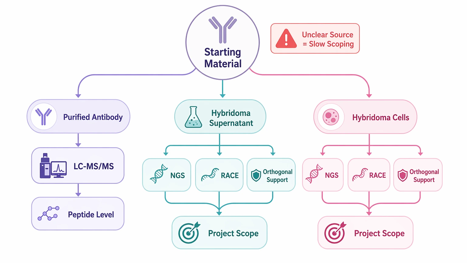De novo antibody sequencing starting material selection guide comparing purified antibody and hybridoma inputs