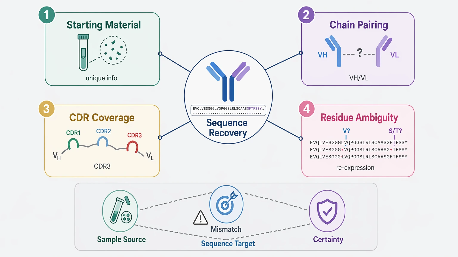 Why the sequencing of antibody is difficult failure-point diagram showing starting material, chain pairing, CDR coverage, and residue ambiguity.