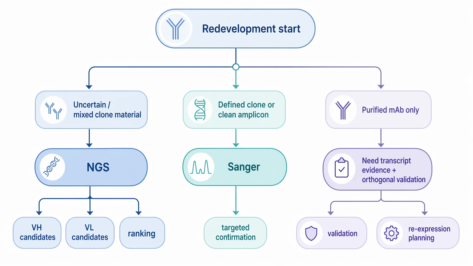 antibody sequencing ngs decision path for uncertain clone material, defined clone sources, and purified monoclonal antibody inputs